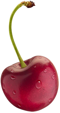 red cherry PNG image, free download-624